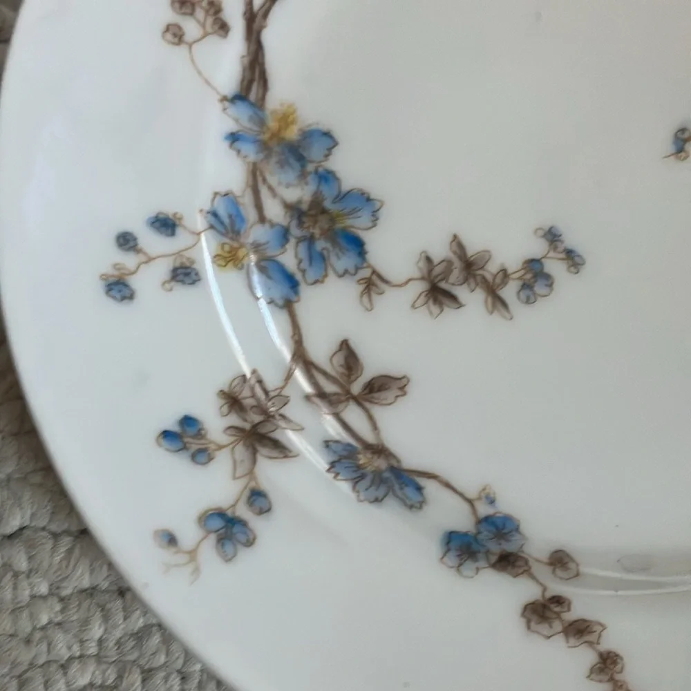 Limoges 5 piece dessert set sm platter + 4 8” plates antique French porcelain